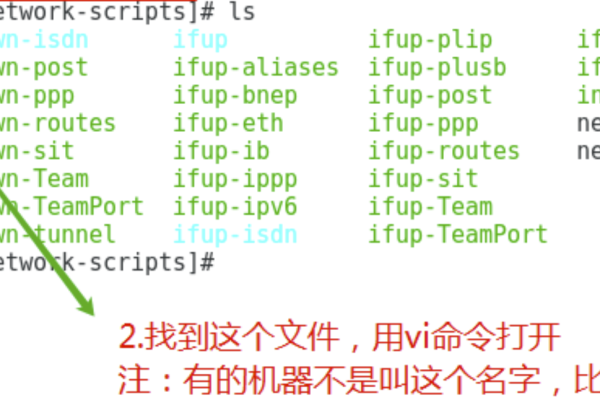 /etc/sysconfig/network-scripts