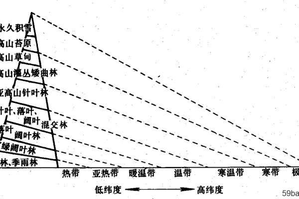 水平和垂直分布