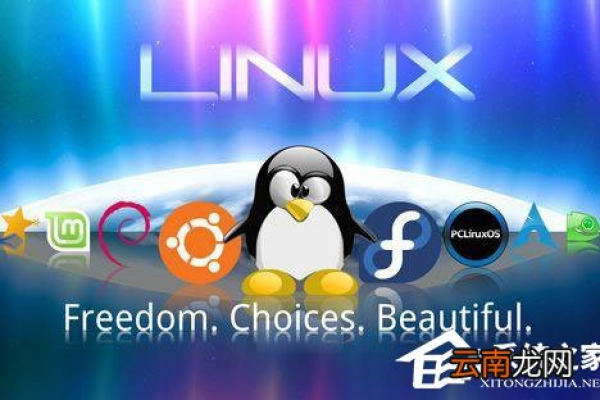 linux怎么查看系统版本