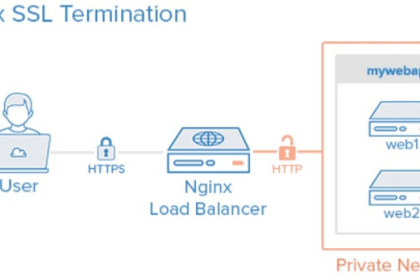 nginxhttps  第1张