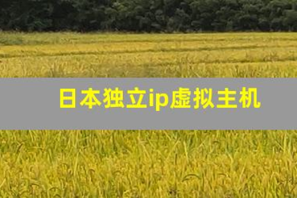 日本独立ip虚拟主机租用怎么加速的