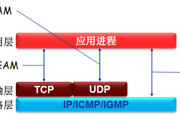 探究网络通信，什么是Socket错误及其影响？