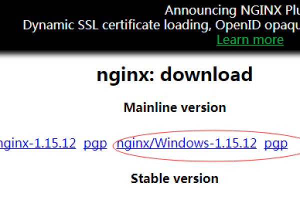 nginx安装配置 window  第1张