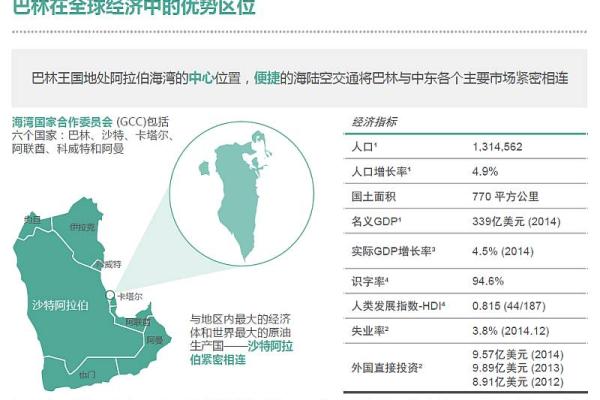 巴林网络怎么样  第1张