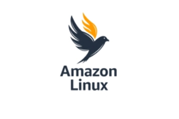 Amazon Linux 2023发行版发布 专为AWS云进行优化