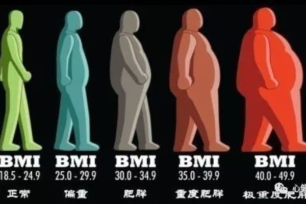 探究BMI，它究竟代表了什么？