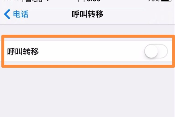 包含苹果手机怎样设置来电转接，苹果手机怎么设置在接电话的同时可以接新的来电的词条
