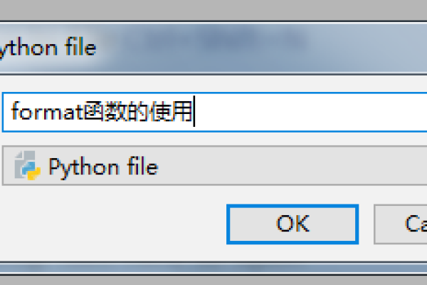 python里面的format  第1张