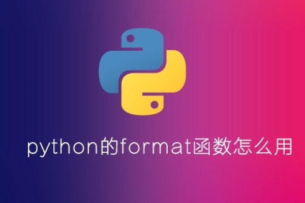 python中format的作用