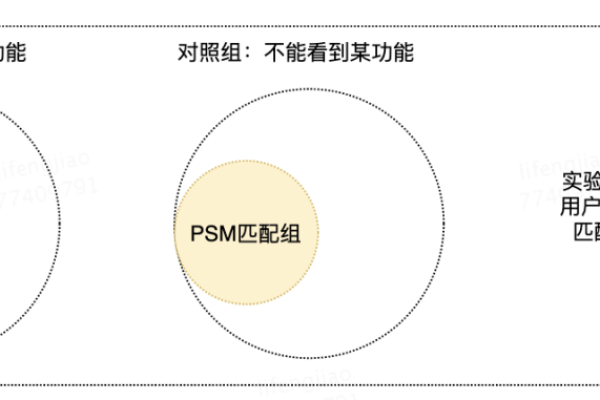 什么是FPM？探索其定义与应用