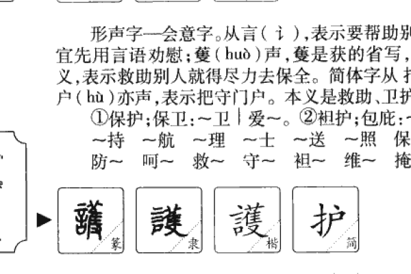 护的笔顺怎么写？保护的‘who’又该如何书写？