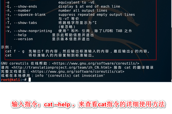 linux中cat命令怎么用