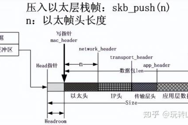 linux skb  第1张