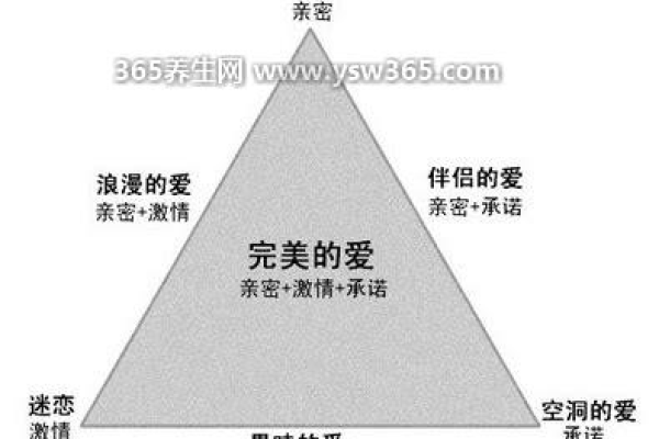 爱的表达：以我爱你域名的由来和内涵为主线，探究爱的表达方式和重要性