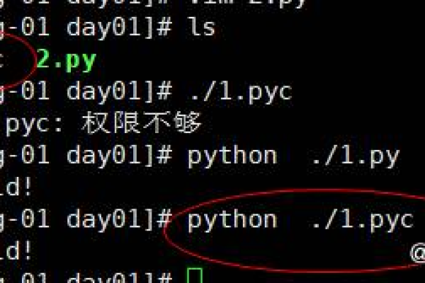 python 如何编译py