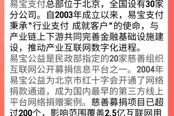 易宝支付是什么？  第1张