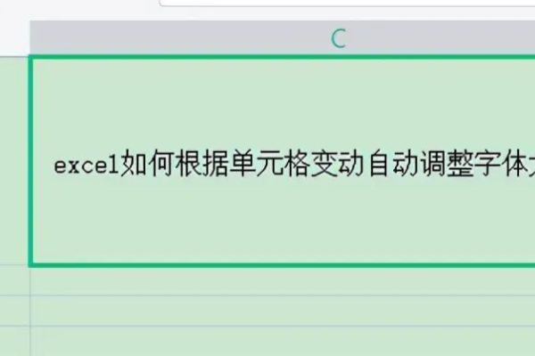 excel表格文字跟随单元格大小变化的解决方法是  第1张