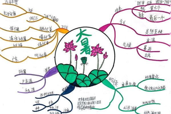 我家的杏熟了的思维导图怎么画  第1张