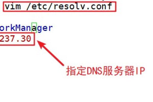 linux dns解析失败  第1张