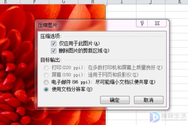 如何在EXCEL中压缩表格图片