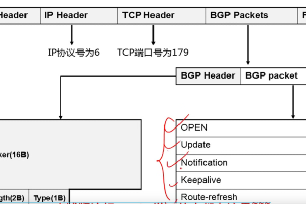 深入了解BGP主机：网络架构中的关键角色 (bgp主机)  第1张