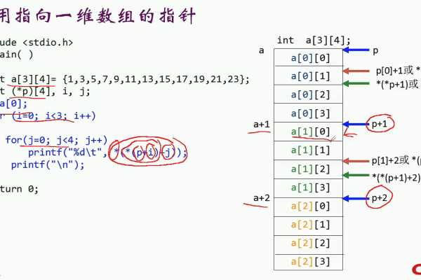 c语言 指针怎么指数组