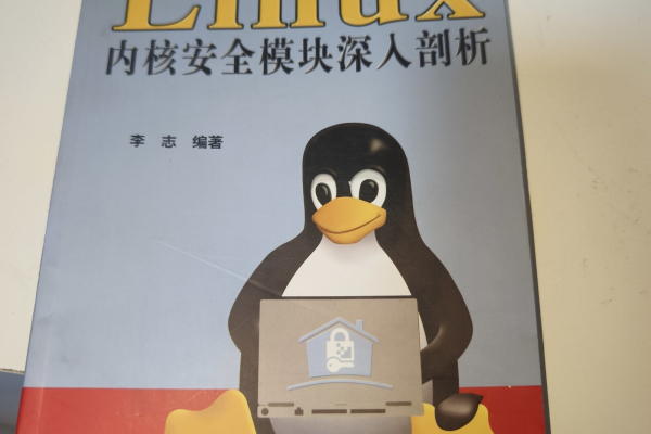 深入研究Linux系统中的内核模块安全性