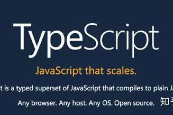 TypeScript in JavaScript 项目中的应用