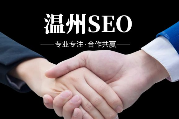 为什么要选择温州seo,温州seo的优势和特点  第1张