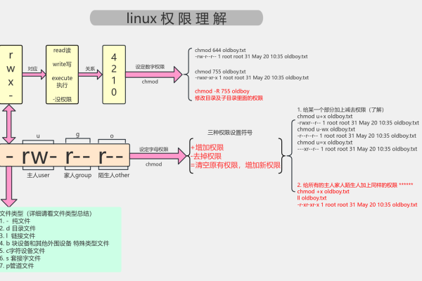 Linux权限问题详解，从基础概念到实战解决方案  第1张