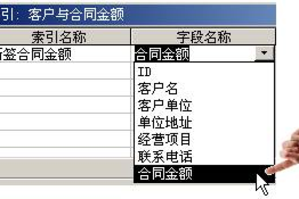 access唯一的索引怎么设置