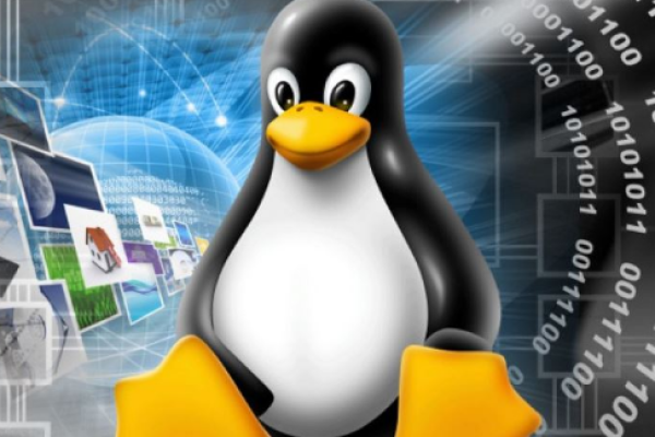 linux主机是什么  第1张