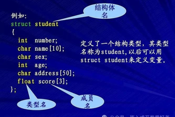 c语言结构体算法怎么调用  第1张