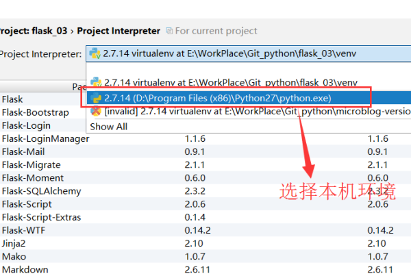 ImportError: No module named flask