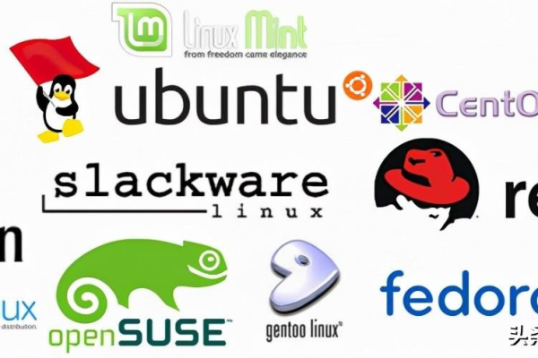 Red Hat Linux 5.8有哪些新特性和改进？