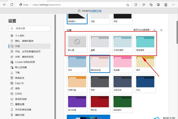 如何更改Edge浏览器的主题皮肤设置