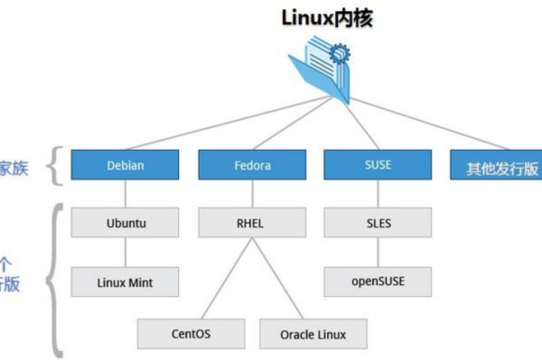 Linux协议栈的演进与发展趋势探讨