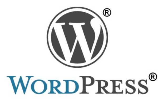 在 WordPress 中发现附件 ID  第1张