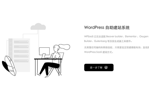 WordPress是否符合SaaS模型的定义？  第1张