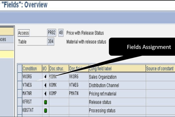 sap 服务器文件  第1张