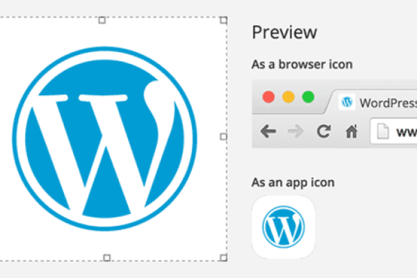 WordPress 3.4 到来后下一步是什么？  第1张