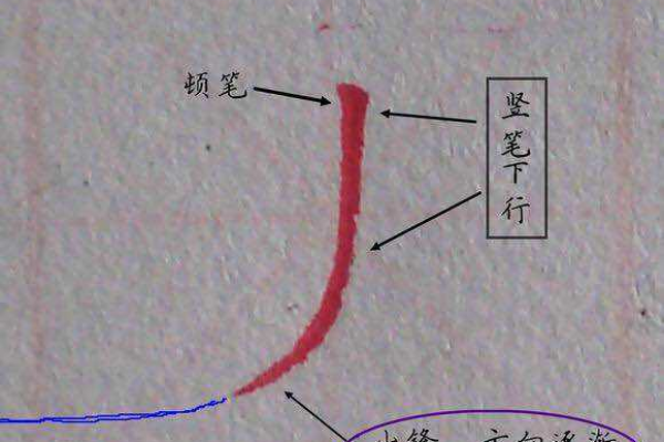 如何正确书写线段的笔画？