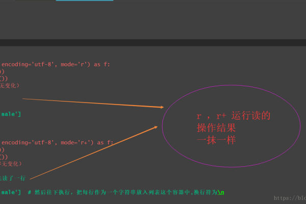 如何编写一段python程序  第1张