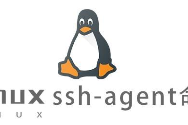 linux 命令 sh 是什么意思  第1张