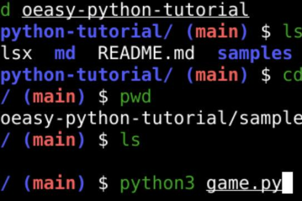 python dtypes  第1张