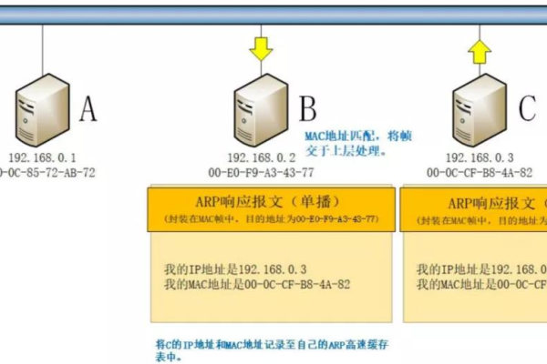 怎样利用ip反查域名,ip反查域名的原理及应用实验报告