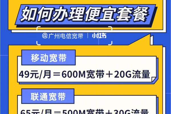 桂哥网络G口广东移动带宽租用优势  第1张