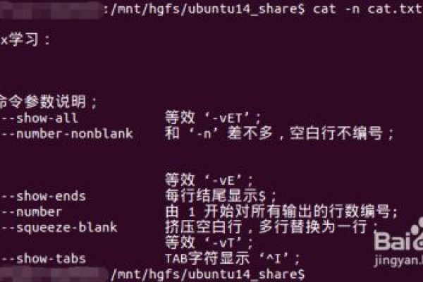 linux的cat命令怎么用