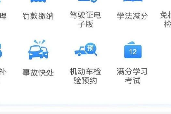 交管12123电子驾驶证交警认可吗