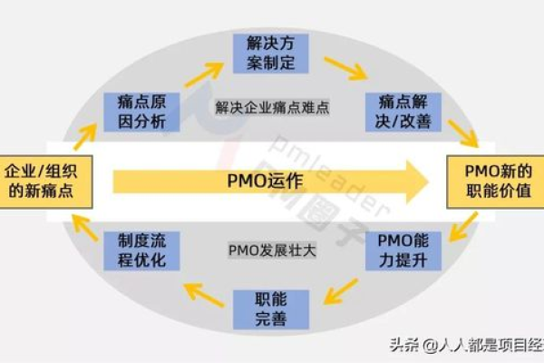 pmo是什么岗位  第1张